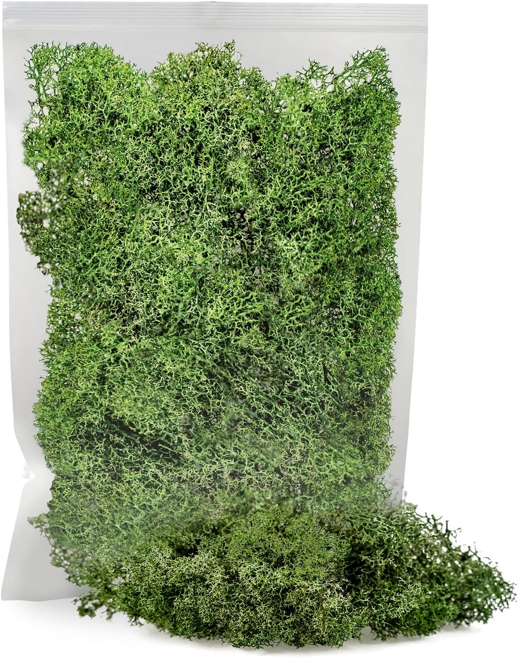 GARDENERA Premium Preserved Reindeer Moss - 10 Quart- Best for Potted Plants, Terrariums, Fairy Gardens, Arts and Crafts or Floral Decor Design in Basil Green (2 Bags of 5 Quart)