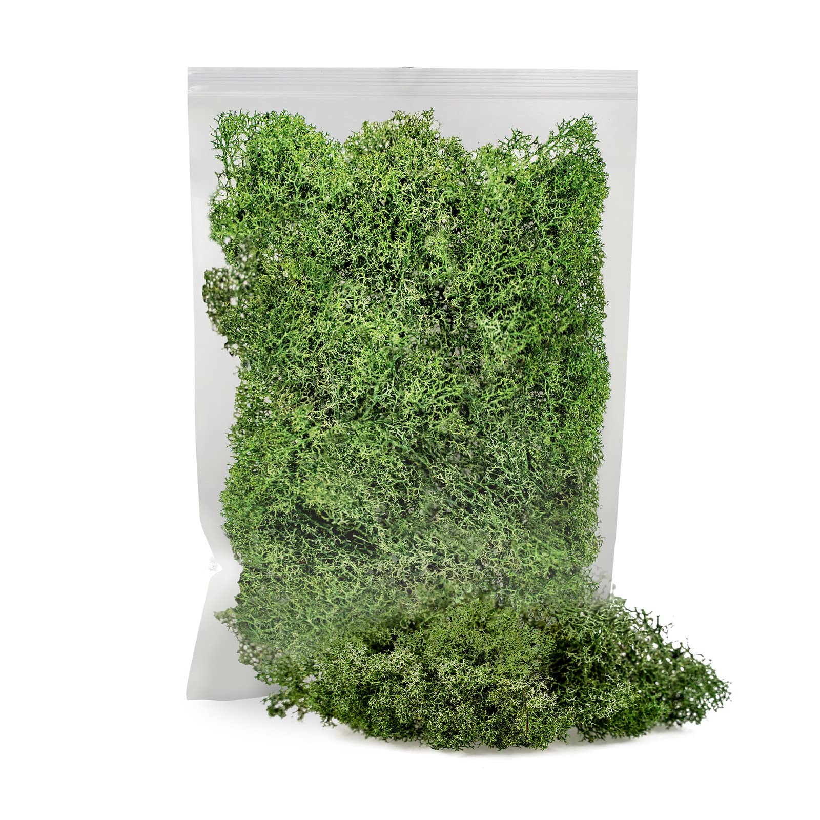 GARDENERA Premium Preserved Reindeer Moss - 10 Quart- Best for Potted Plants, Terrariums, Fairy Gardens, Arts and Crafts or Floral Decor Design in Basil Green (2 Bags of 5 Quart)