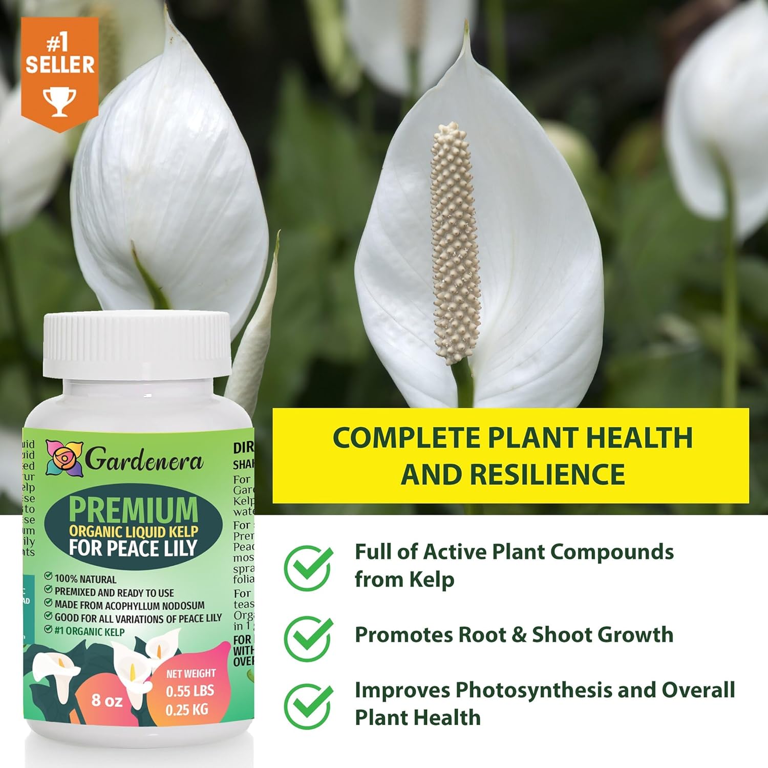 GARDENERA Concentrated Kelp & Seaweed Extract for Strong and Resilient Peace Lilies - 16 oz