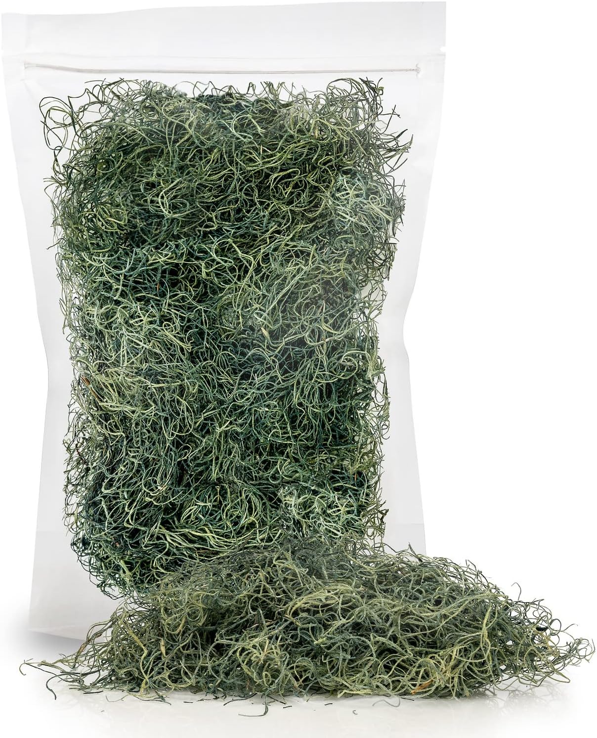 PREMIUM Spanish Moss in Basil| Natural Preserved - Great Ground Cover - Filler for Potted Plants - by GARDENERA - 3 Quart Bag