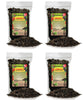 GARDENERA Premium Currant Plant Potting Soil Mix - Perfect Balance of Nutrients, Drainage, and Aeration for Thriving Currant Plants - 10 QUARTS