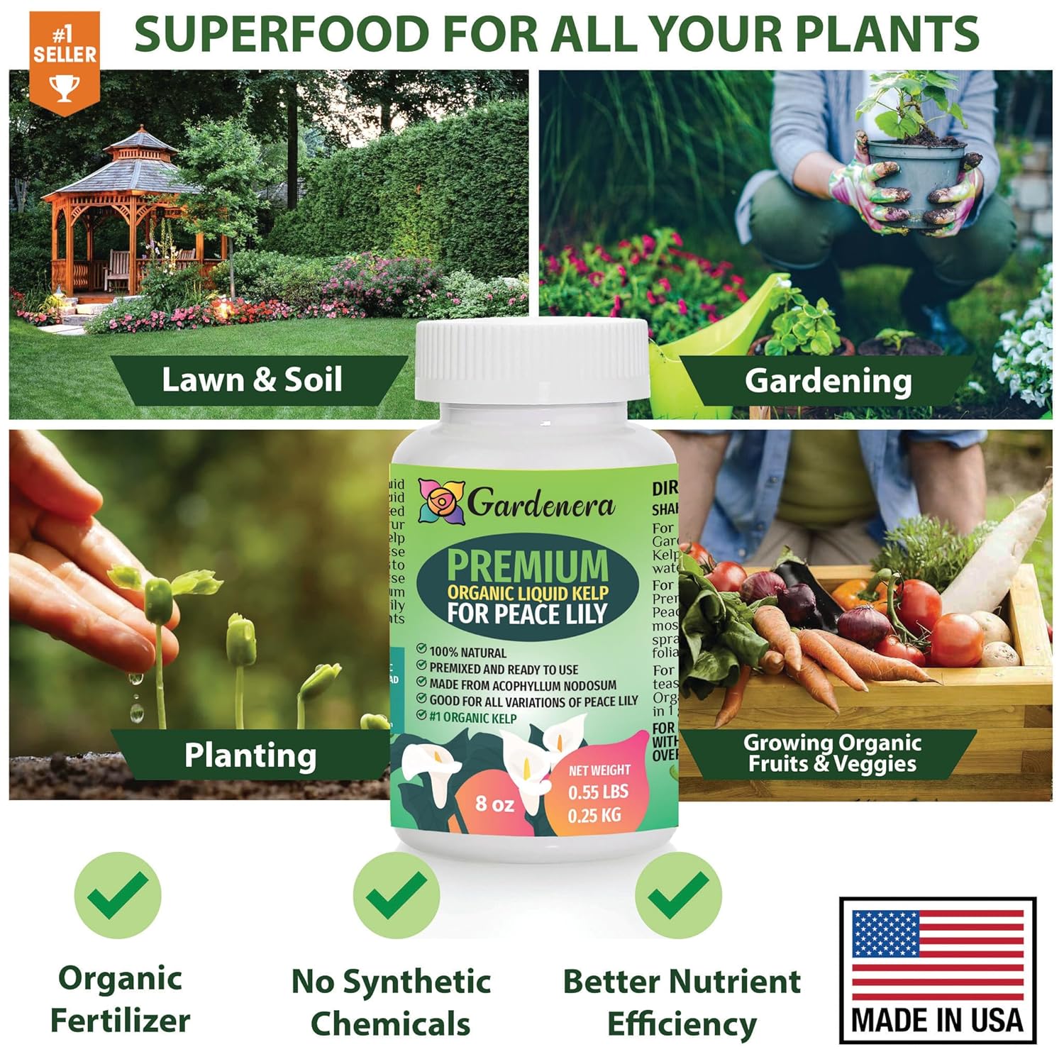 GARDENERA Concentrated Kelp & Seaweed Extract for Strong and Resilient Peace Lilies - 16 oz