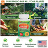 Premium Liquid Kelp Fertilizer for Juicy Tomatoes by Gardenera - 32 oz - Enhance Growth and Sweetness in Your Tomato Plants