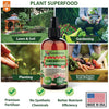 Plant Superfood for CALATHEA Plants with B1 Vitamin, Glucose and Essential Minerals - Organic Plant Food Fertilizer for Indoor & Outdoor CALATHEA Plant Care - 8oz