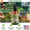 Plant Superfood for ORCHIDEA Plants with B1 Vitamin, Glucose and Essential Minerals - Organic Plant Food Fertilizer for Indoor & Outdoor ORCHIDEA Plant Care - 8oz