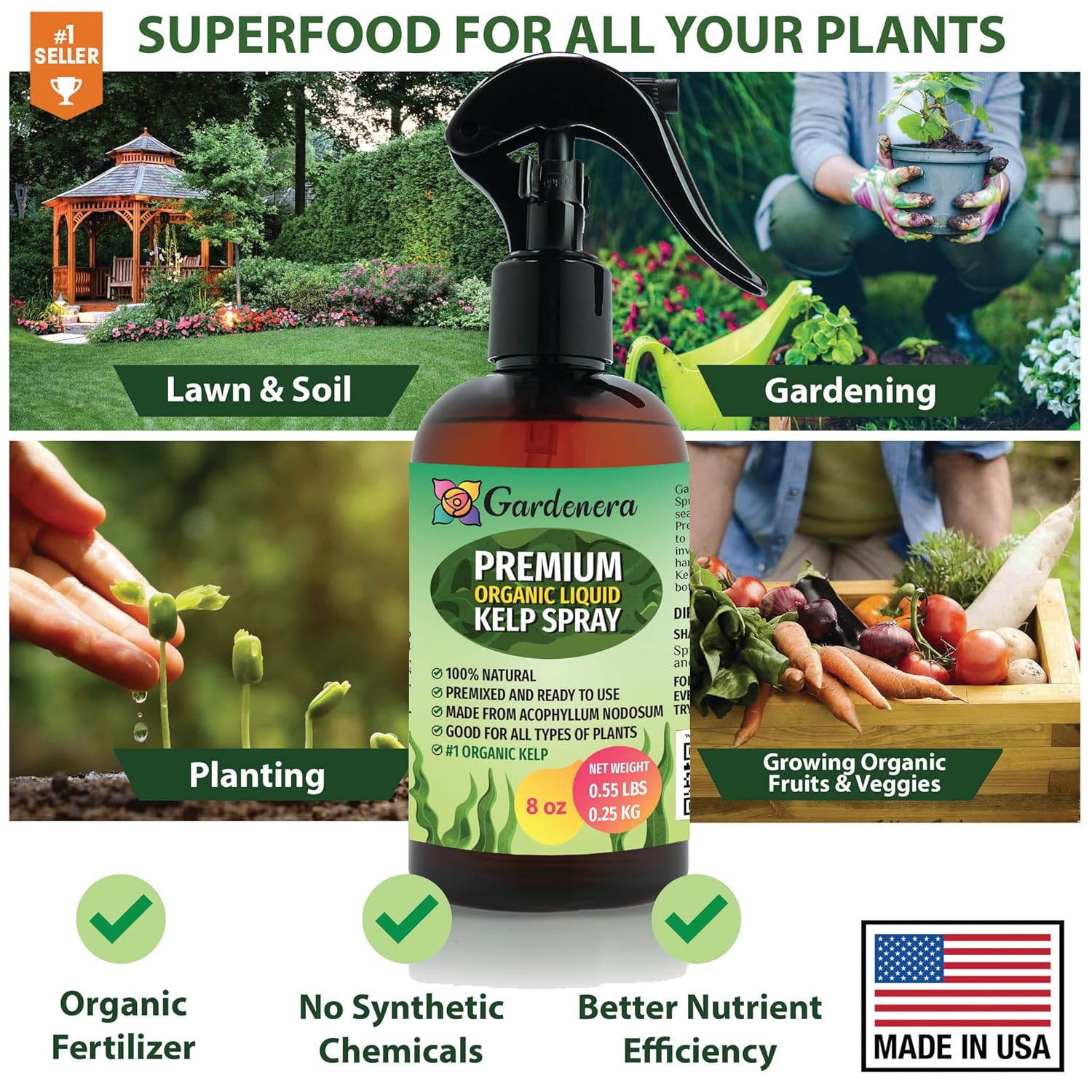 Gardenera Premium Organic Liquid Kelp Spray for ORCHIDS - 8 oz - Revitalize Your  and Cacti with Natural Seaweed Power