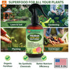 Gardenera Premium Organic Liquid Kelp Spray for HOYA PLANTS - 8 oz - Natural Superfood Spray to Maximize Leaf Size and Health