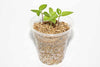 Gardenera Horticultural Organic Vermiculite - Medium Grade - Natural Soil Additive for Potted Plants - Orchids - Hydroponics - Terrariums (5 Quart)