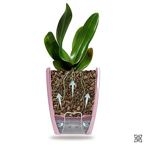 Gardenera 4.9" ORCHIDEA Self Watering Pots for Orchids in Anthracite - Decorative Wicking Planter with w/Great Aerification, Drainage and Water Level Indicator