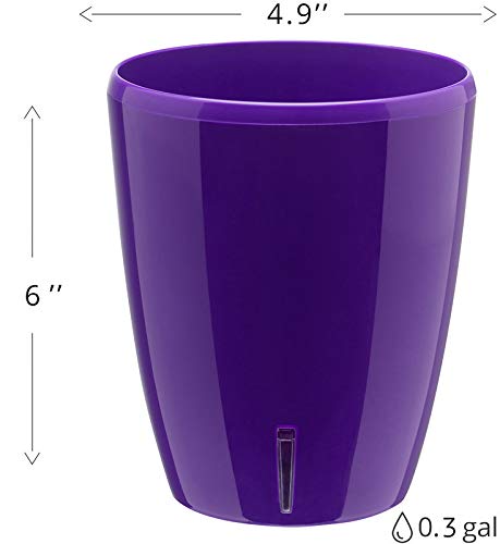 Gardenera 4.9" ORCHIDEA Self Watering Pots for Orchids in Violet (Set of 3) - Decorative Wicking Planter with w/Great Aerification, Drainage and Water Level Indicator