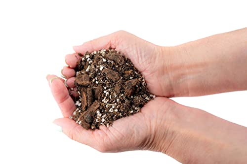 ⭐ Premium Aroid Potting Mix - Soil Free Blend for Aroids - Growing Medium for House Plants by Gardenera - (1 Quart Bag)