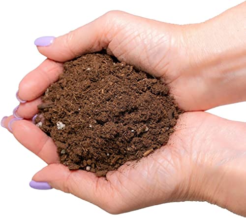 GARDENERA Premium Pothos Potting Soil Mix - Air Cleaning Plant Potting Mix, Soil Mix for Pothos, Parlor Palm, Peace Lily - (5 Quart Bag)