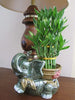 Load image into Gallery viewer, GARDENERA Premium Bamboo Potting Soil Mix - (1 Quart Bag)