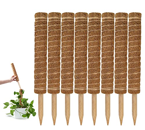 GARDENERA Stackable Coco Coir Poles for Monstera (Pack of 8) Train Indoor Climbing Plants to Grow Upwards - 12" Coco Coir Totem Stakes - Potted House Support/Trellis for Climbing Plants