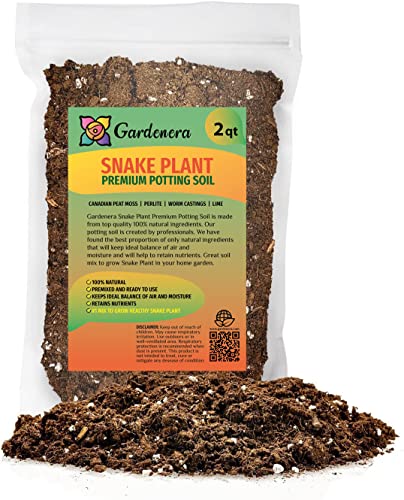 GARDENERA Premium Snake Plant Potting Soil Mix, Green Sansevieria Trifascatia Zeylanica Plants, Plant or Re-Pot Your Snake Plant - (2 Quart Bag)
