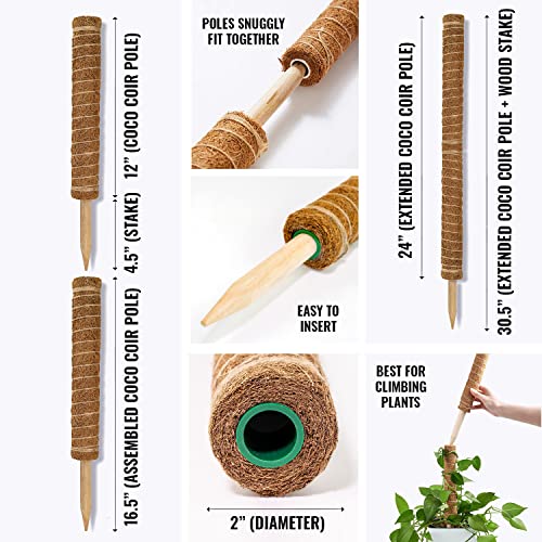 GARDENERA Coco Coir Poles for Plants Monstera (Pack of 6) Coco Plant Sticks Support, 12" Coco Coir Plant Stakes for Indoor Plants, Monstera Moss Pole for Climbing Plants Growth