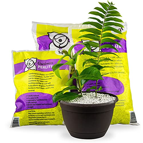 Organic Perlite by Perfect Plants — Add to Soil for Indoor & Outdoor  Container Plants for Drainage Management and Enhanced Growth (8qts.)