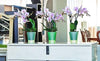Load image into Gallery viewer, ARTE-DEA Self-Watering Planter in Green Apple - Gardenera.com