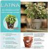 Self Watering Planter, Latina Set