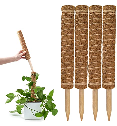 GARDENERA Coco Coir Poles for Monstera (Pack of 4) - 12" Monstera Plant Stakes, Sphagnum Handmade Coco Stick, Potted Plants Support/Totem Perfect for Small/Medium Climbing Plants Indoor