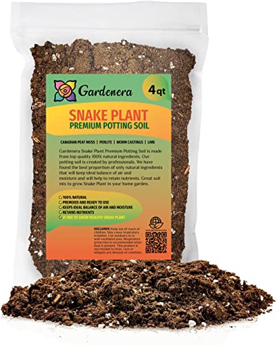 GARDENERA Premium Snake Plant Potting Soil Mix, Green Sansevieria Trifascatia Zeylanica Plants, Plant or Re-Pot Your Snake Plant - (4 Quart Bag)