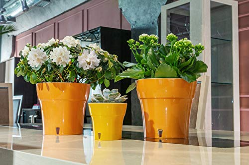 Gardenera 4.3" DALI Self Watering Planter in Olive-Gray - (Set of 3) Modern Flower Pot with Water Level Indicator for All House Plants, Flowers, Herbs, Succulents and Orchids