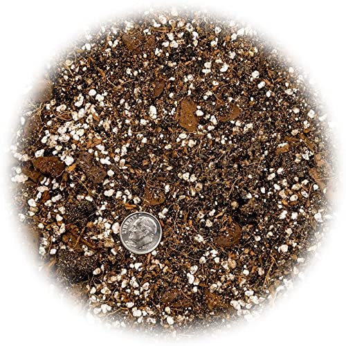 ⭐ Premium Aroid Potting Mix - Soil Free Blend for Aroids - Growing Medium for House Plants by Gardenera - (1 Quart Bag)