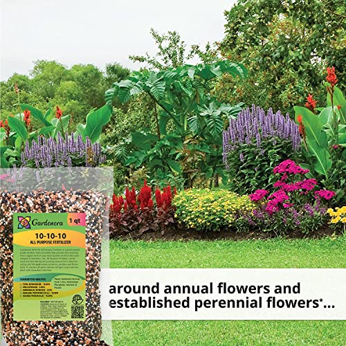 All-Purpose Planting and Growing Food 10-10-10 Fertilizer by Gardenera - Boost Your Garden's Growth - 2 Quart